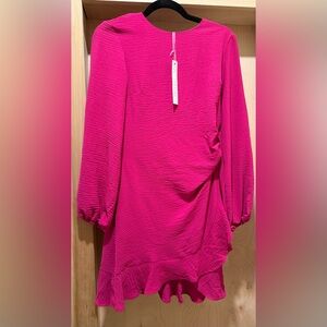 Bright Fuchsia Textured Long Sleeve Dress Size Small NEW